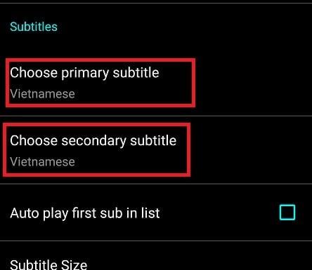 set subtitles netflix android