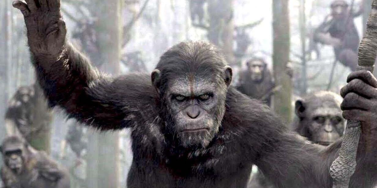 Dawn of the Planet of the Apes