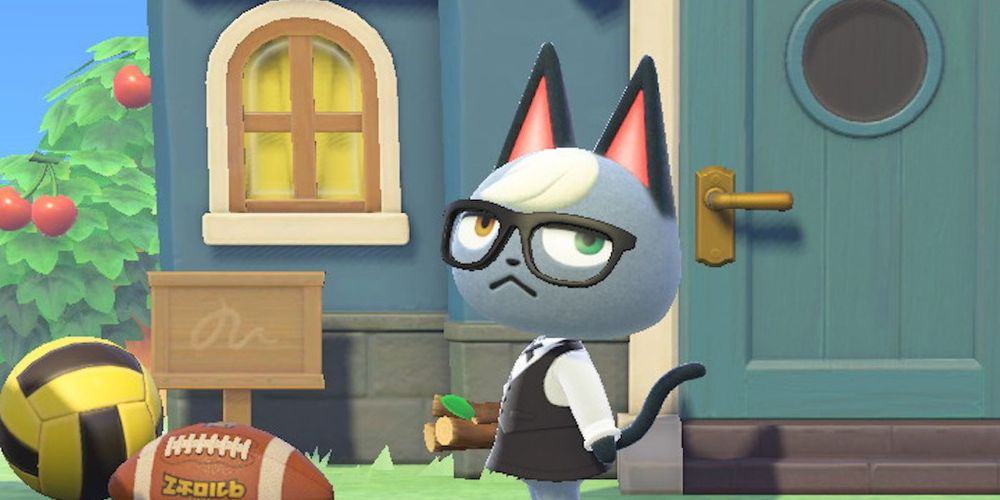 A gray cat named Raymond wears glasses.