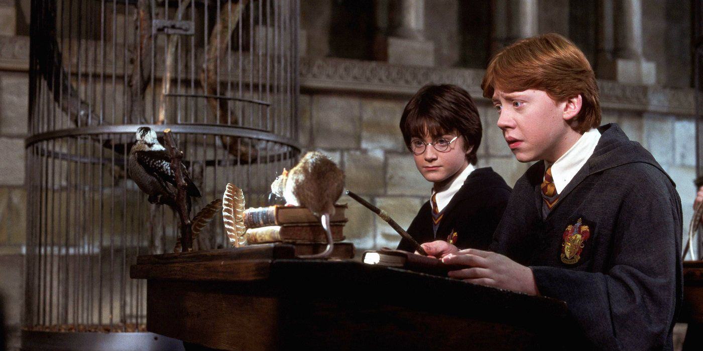 Harry and Ron in the Transfiguration class in the Chamber of Secrets.