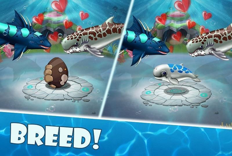 free shark world mod apk