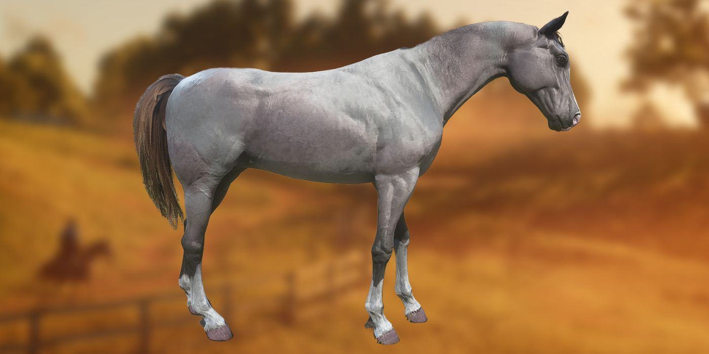 Rendering of the Rose Gray Bay Arabian horse in RDR2 compared to a blurred field image.