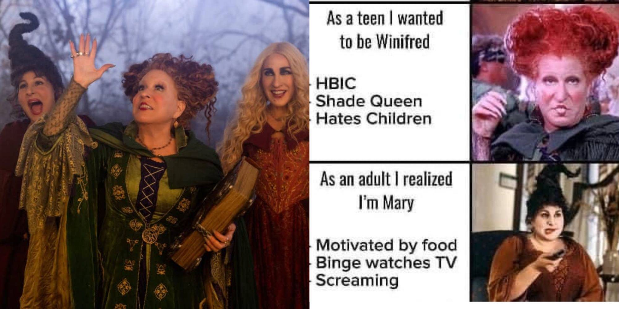 Split Image Sanderson Sisters look to the sky, meme of mary and winifred