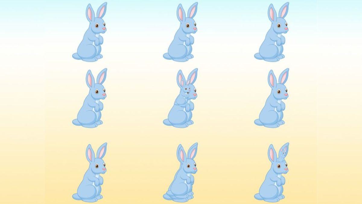 Can you spot how many Rabbits are there in the picture within 11 secs?