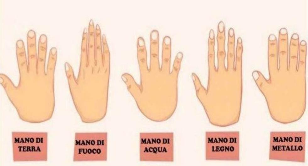 Observe your hand shape and uncover hidden secrets in this personality test