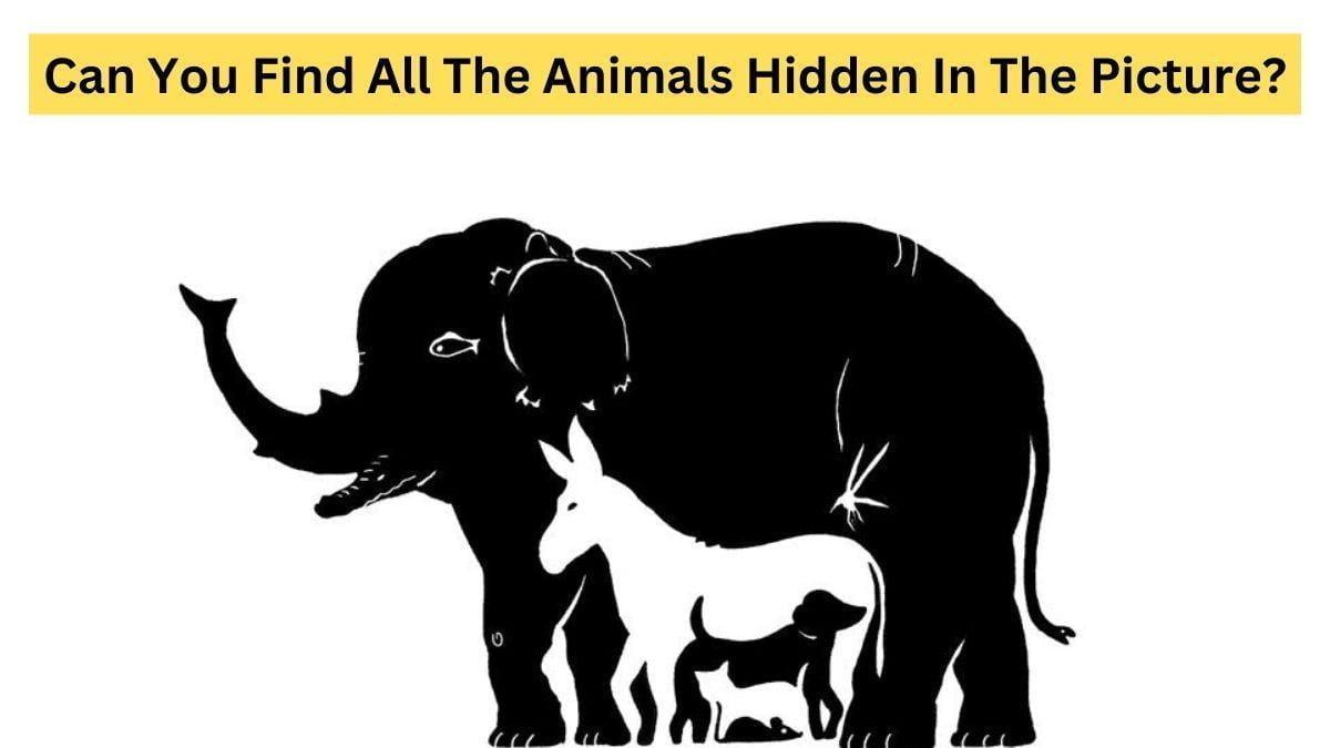 Do you find all the animals in the picture?