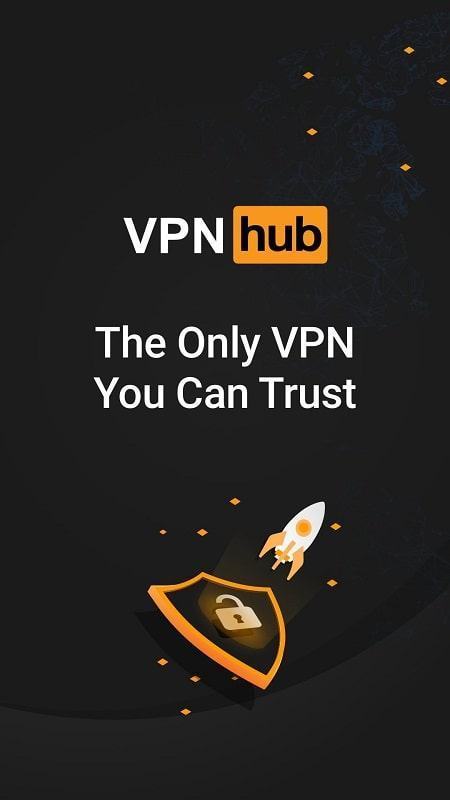 VPN hub module