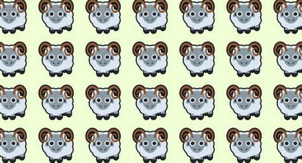 You only have 3 seconds to find the sheep and prove your vision is very good