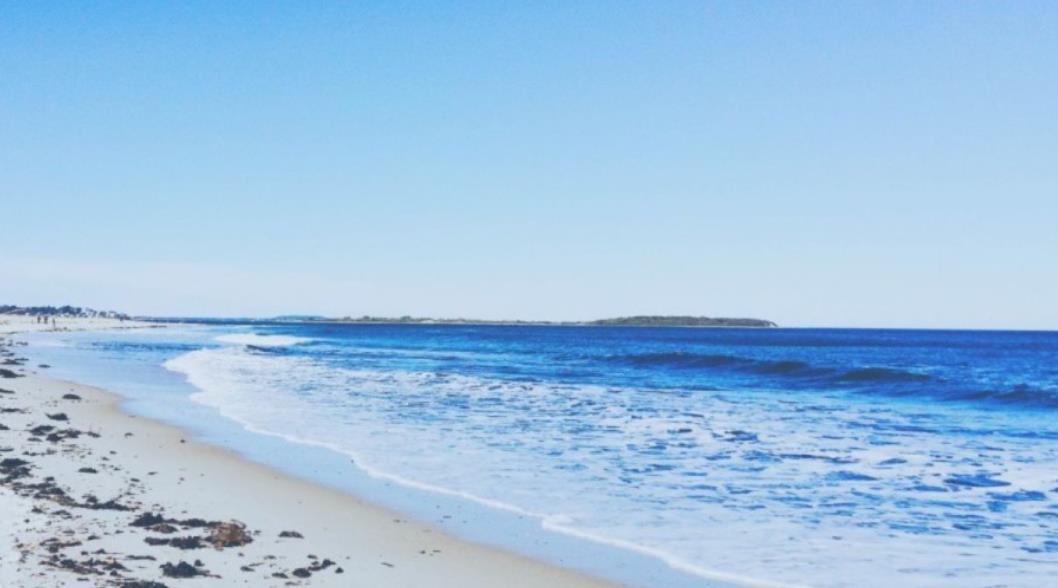 You have the eyes of a hawk if you can spot a crab hiding on the beach in a hellish optical illusion.