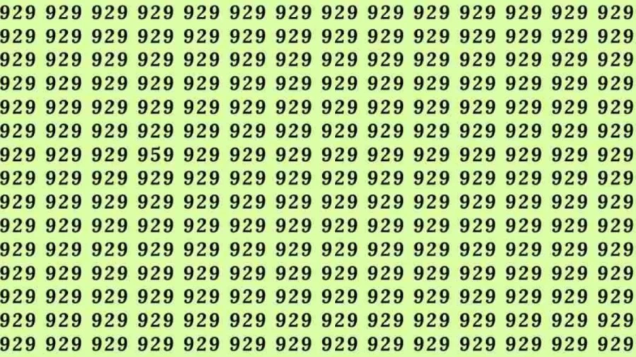 Optical Illusion Challenge: If you have Hawk Eyes Find the number 959 among 929 in 7 Seconds?