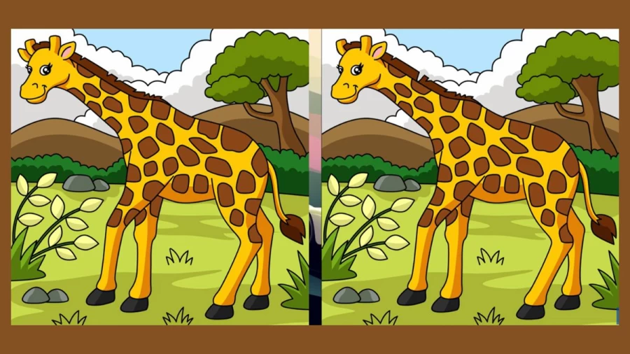 Optical Illusion Spot The Difference: If You Have Eagle Eyes Find the Difference Between Two Images With 20 Seconds?