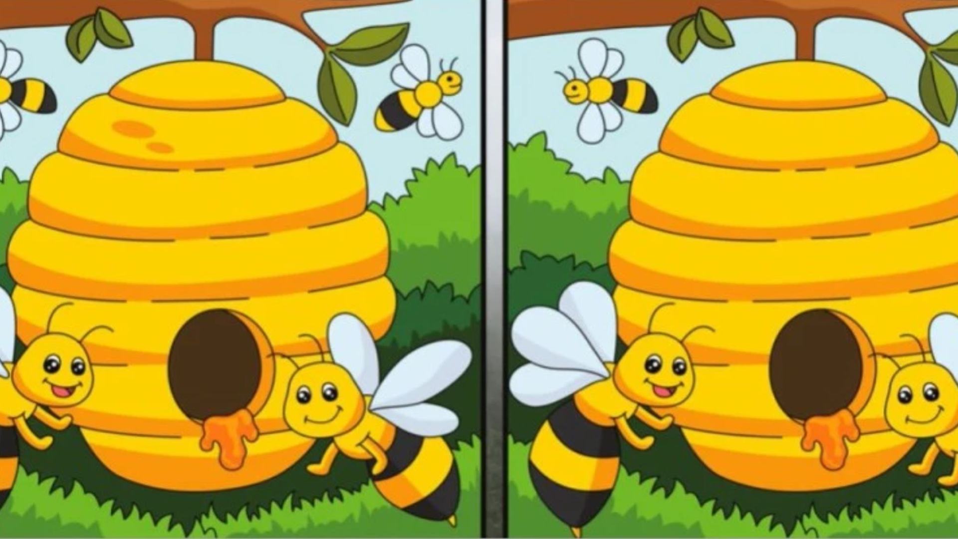 You Could Have A Superior IQ If You Could Spot Five Differences In These Hive Pictures In Ten Seconds