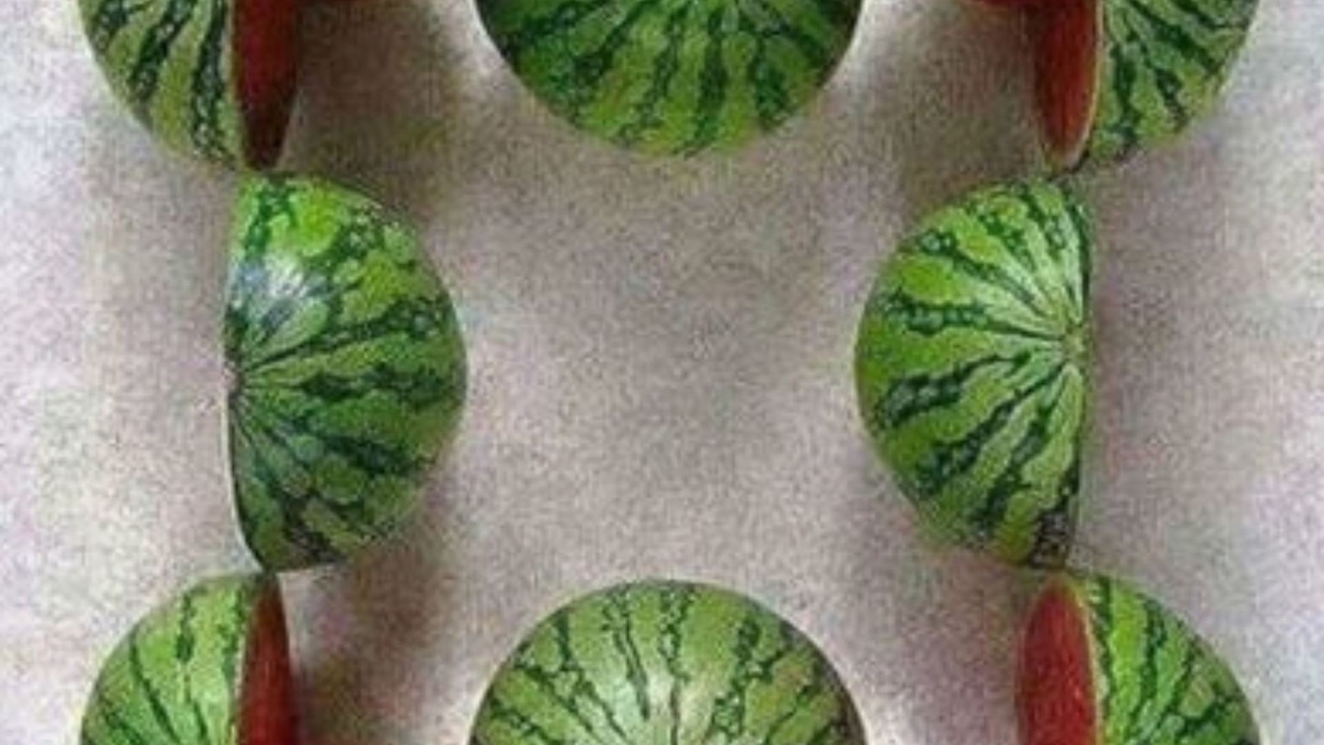 A Stunning Optical Illusion Reveals Whether You're Left-Brained Or Right-Brained: How Many Watermelons Are There?