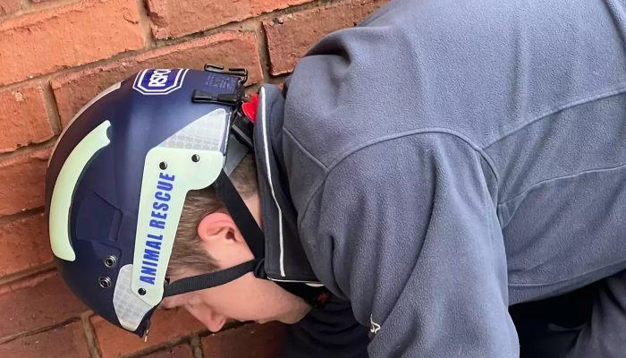 A family discovers someone hiding in a gutter after hearing a cry