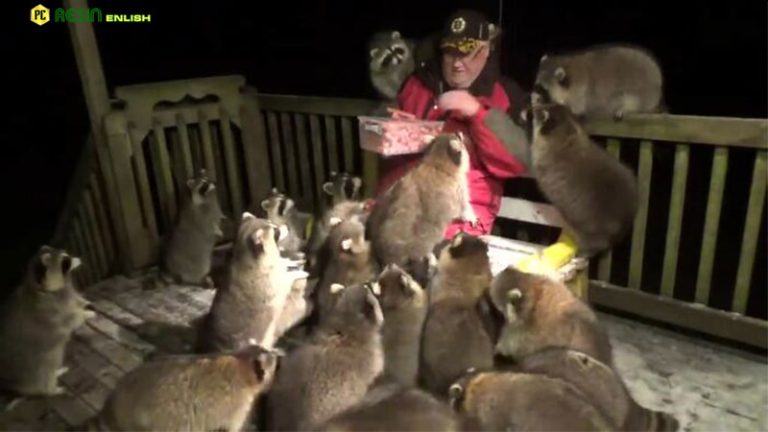 A heartwarming shot.  What a beautiful and incomparable friendship.  Man feeds pandas for 25 years