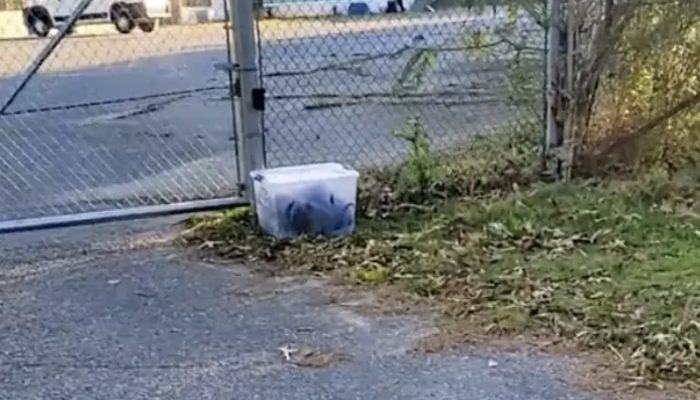 A man discovered a plastic box in a cup and was amazed at what was inside