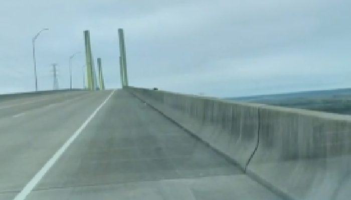 A man noticed a small creature at the edge of the bridge and took action