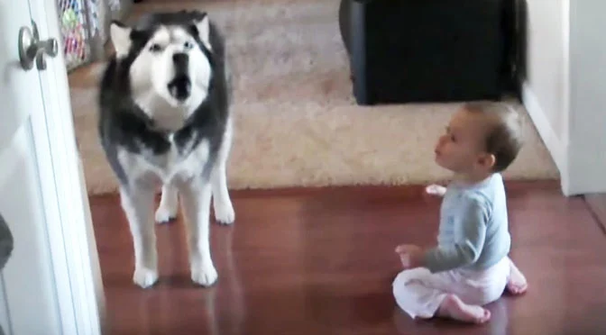 A mother caught her child happily chatting with the dog