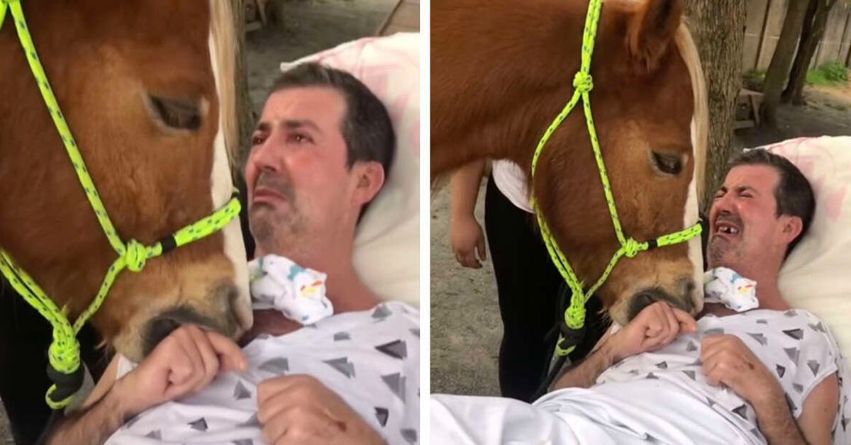 A patient sheds tears after an unforgettable visit from a gentle horse