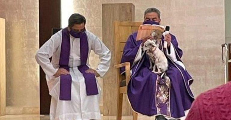 A priest takes a photo while celebrating Mass with a sick puppy on his lap