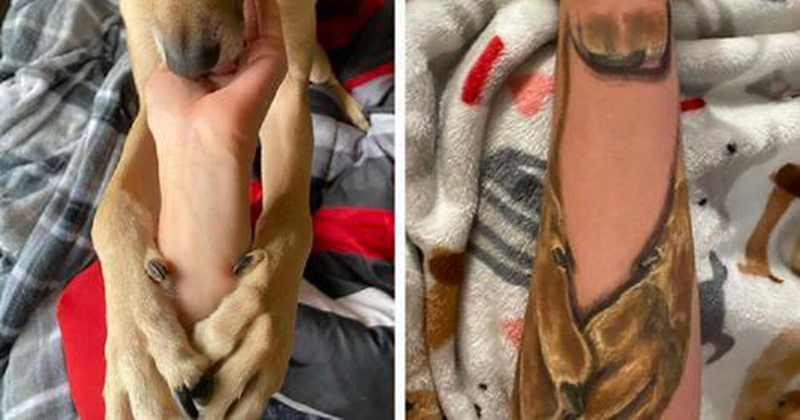 A woman has the cutest and most touching tattoo in memory of her favorite dog