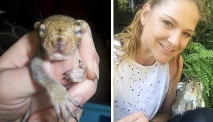 A young girl found a baby squirrel, and this is how the squirrel thanked her for saving it.