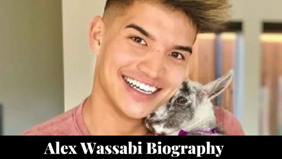 Alex Wassabi Wikipedia, Ethnicity, Age, Girlfriend, Height, Brother, Net Worth