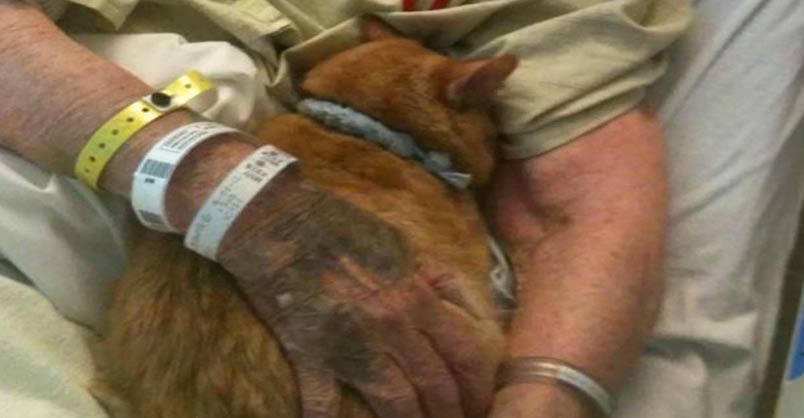 An elderly woman's wish before she dies is to say goodbye to her cat