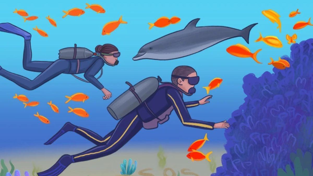 Can you spot 4 mistakes hidden inside the Scuba Diving picture in 13 secs?