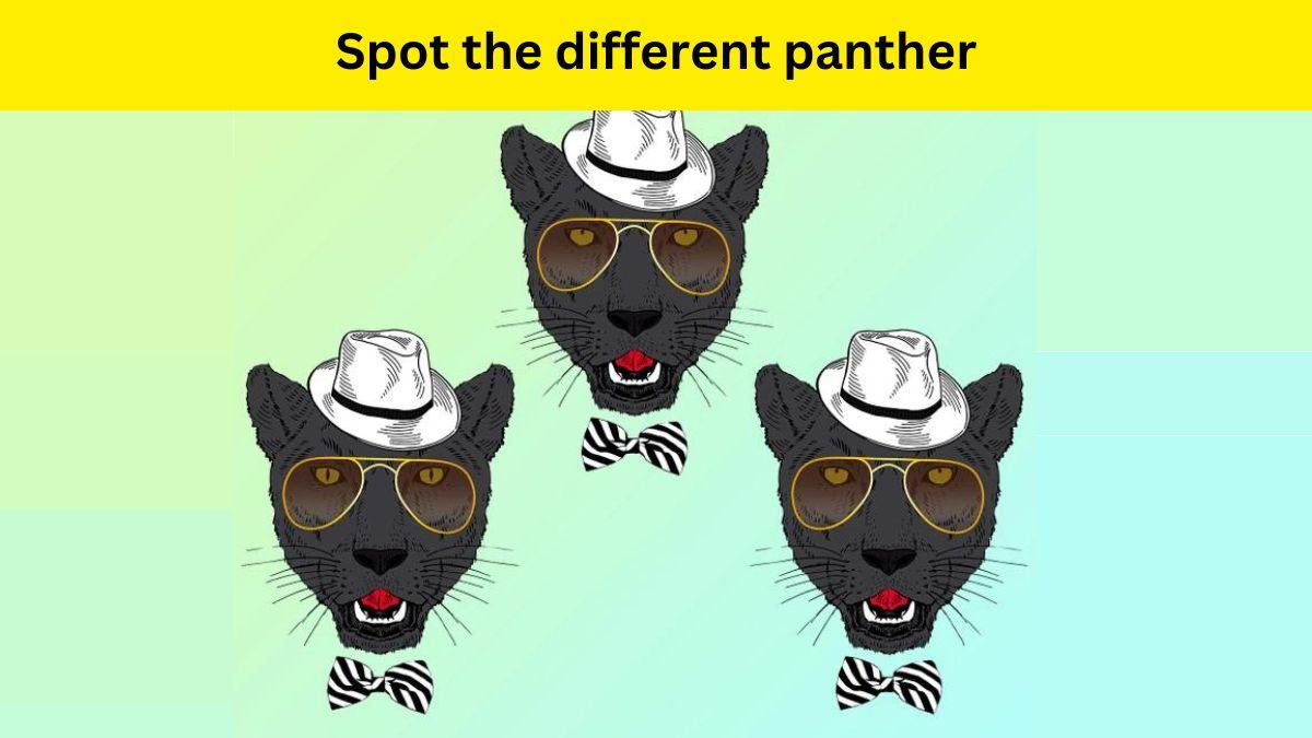 Brain Teaser IQ Test- Spot the different panther in 4 seconds