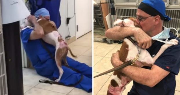 Burnt dog hugs veterinarian, expressing gratitude in a particularly touching way