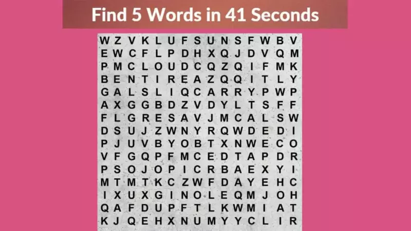 Can you find all 5 hidden words in this picture within 41 seconds?