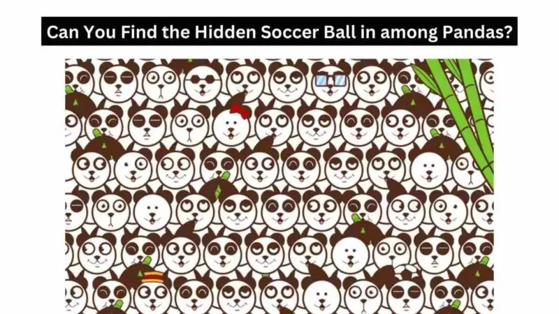 Can you find the soccer ball hidden in the bamboo panda within 17 seconds?  Try your luck!