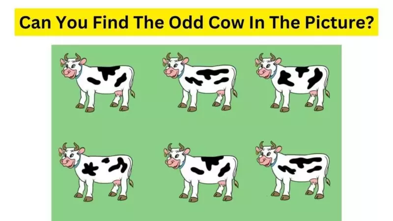 Can you find the strange cow picture hidden in the herd within 9 seconds?