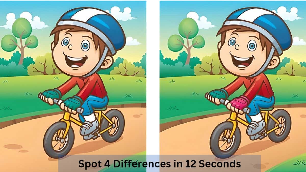 Spot 4 Differences in 12 Seconds