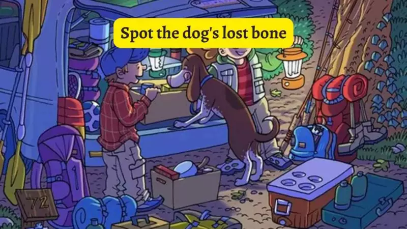 Can you spot the dog's lost bone within the given time?