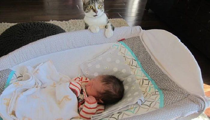 Cat really couldn't believe her parents had a new baby.  And his reaction is so memorable