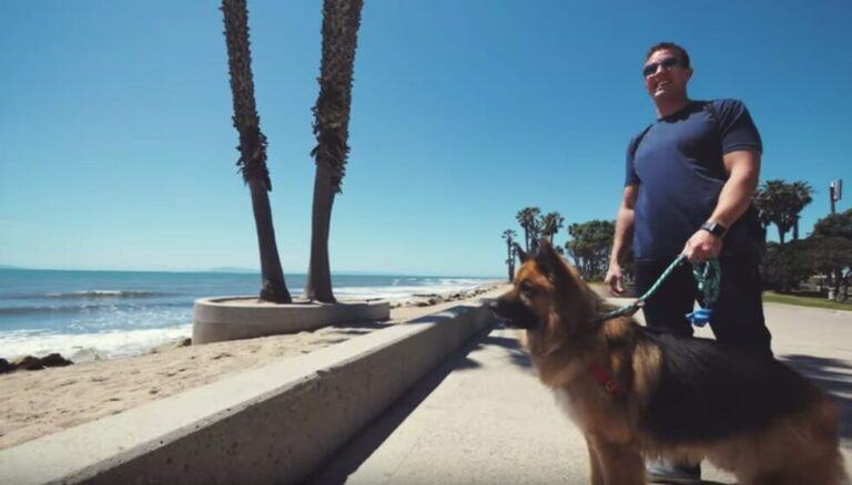 Chained dog sees the ocean for the first time