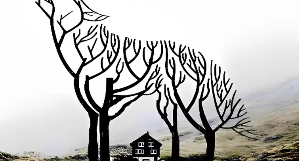 Check out pictures of houses, wolves and branches: tell us what you see and find out your mental age