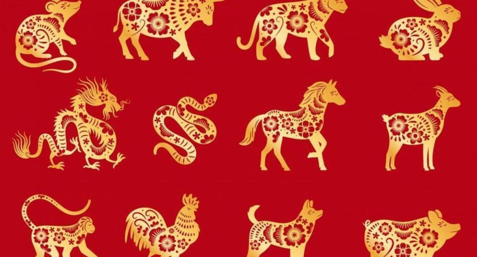 Chinese horoscope 2023: what animal are you, what awaits you and lucky numbers