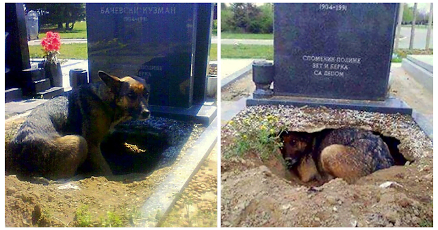 Create a big hole under the grave but not for any deceased owner