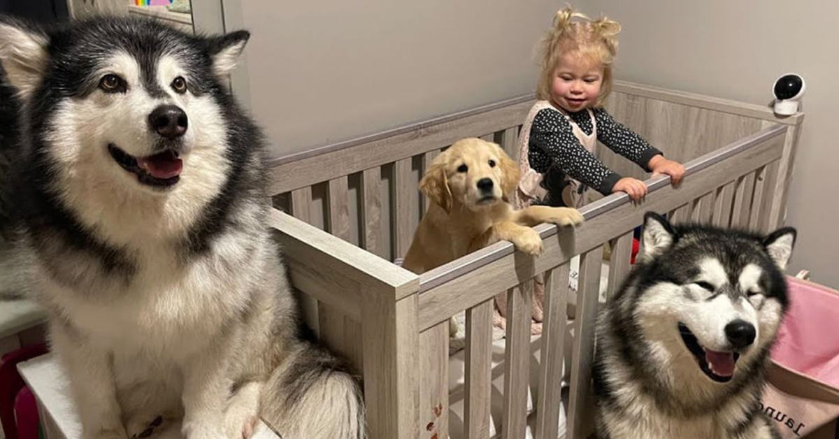 Cute little girl only sleeps when her dog is with her