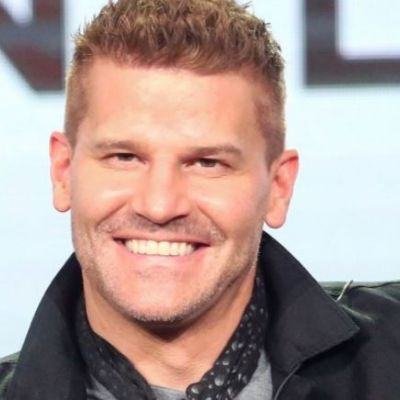 David Boreanaz