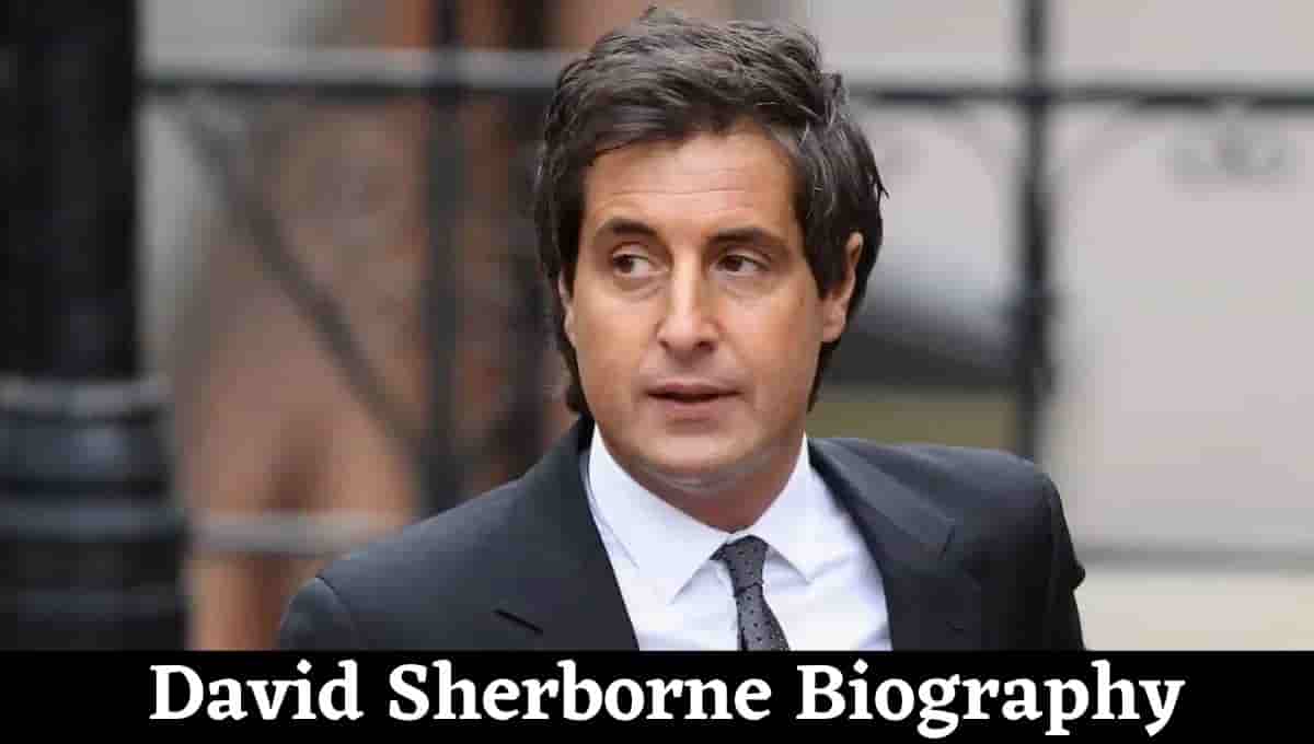 David Sherborne Wikipedia, Barrister, QC, Age, Net Worth, Partner