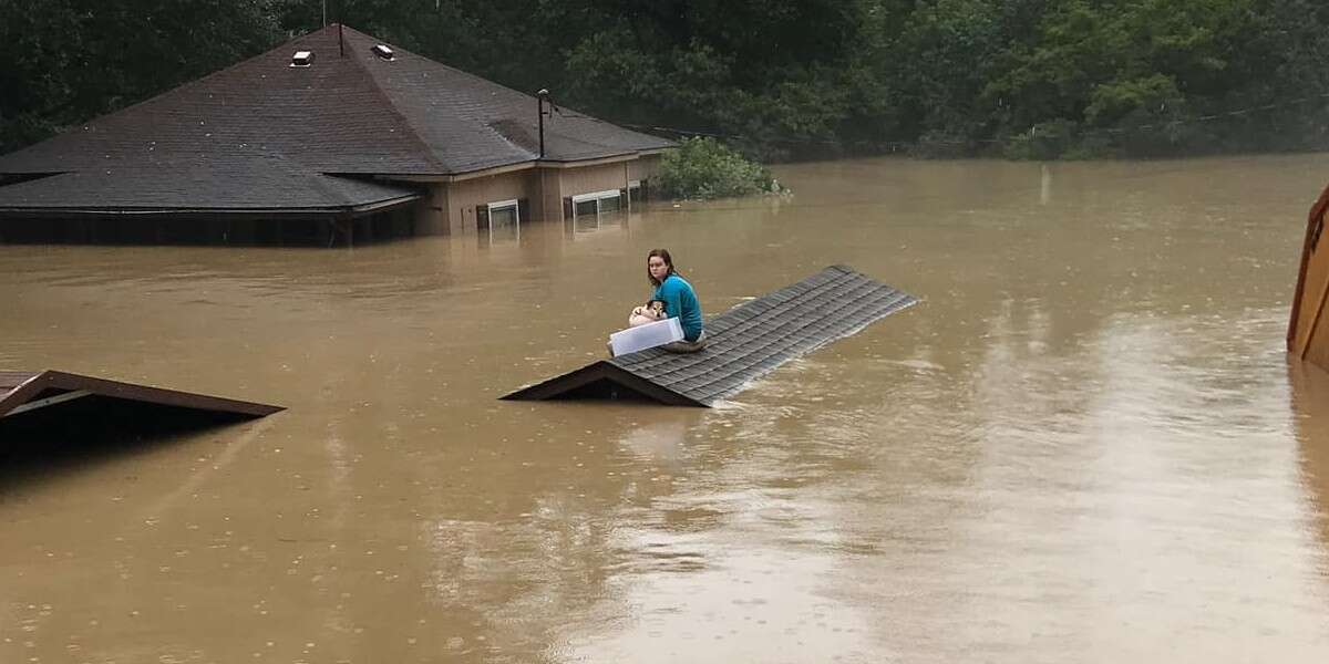 Faith in humanity is restored when woman saves her best friend from a flood with a plastic bucket