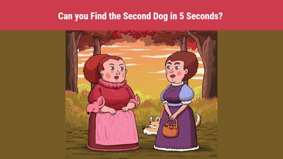 Hidden Animal Optical Illusion - Find Second Dog in 5 Seconds