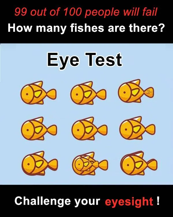 How many fish are there in the picture?  Nothing is difficult, we just have to look at the picture carefully.