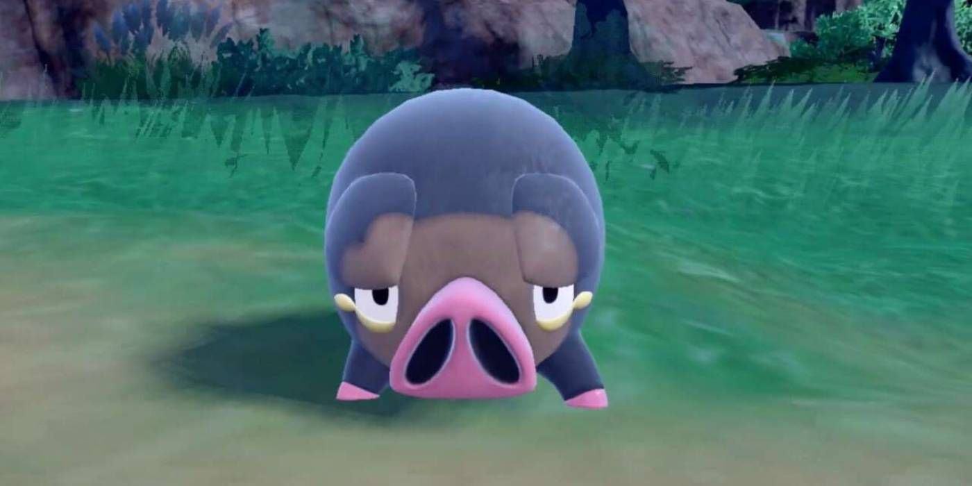 Pokémon Scarlet and Violet Lechonk In Wild Encounter Through Area 1 of Region