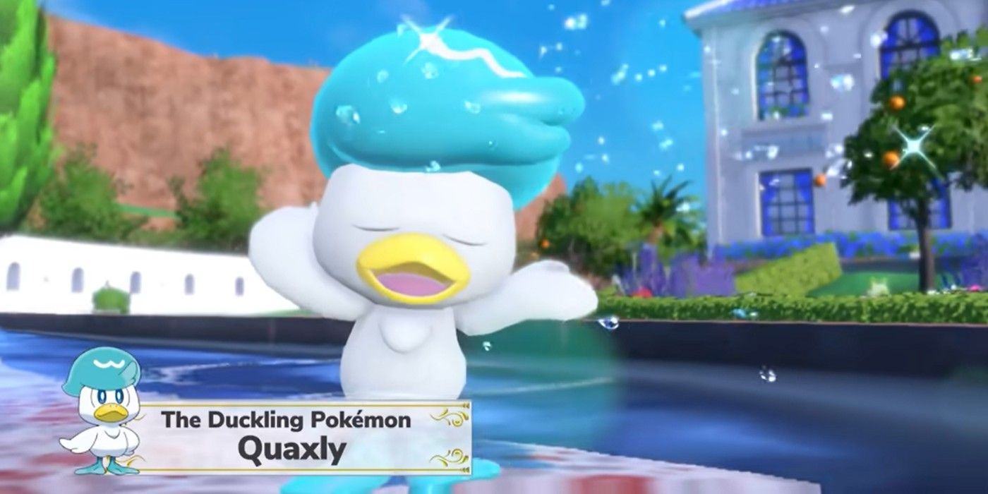 Quaxly raising its arms and whipping its hair in the Pokémon Scarlet and Violet trailer.