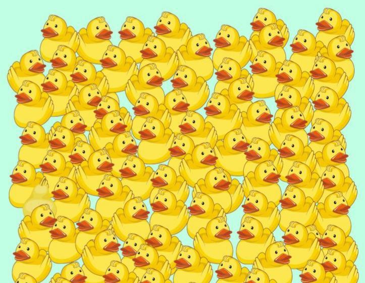 Image.  Can you spot PEAR among the smiling ducks???